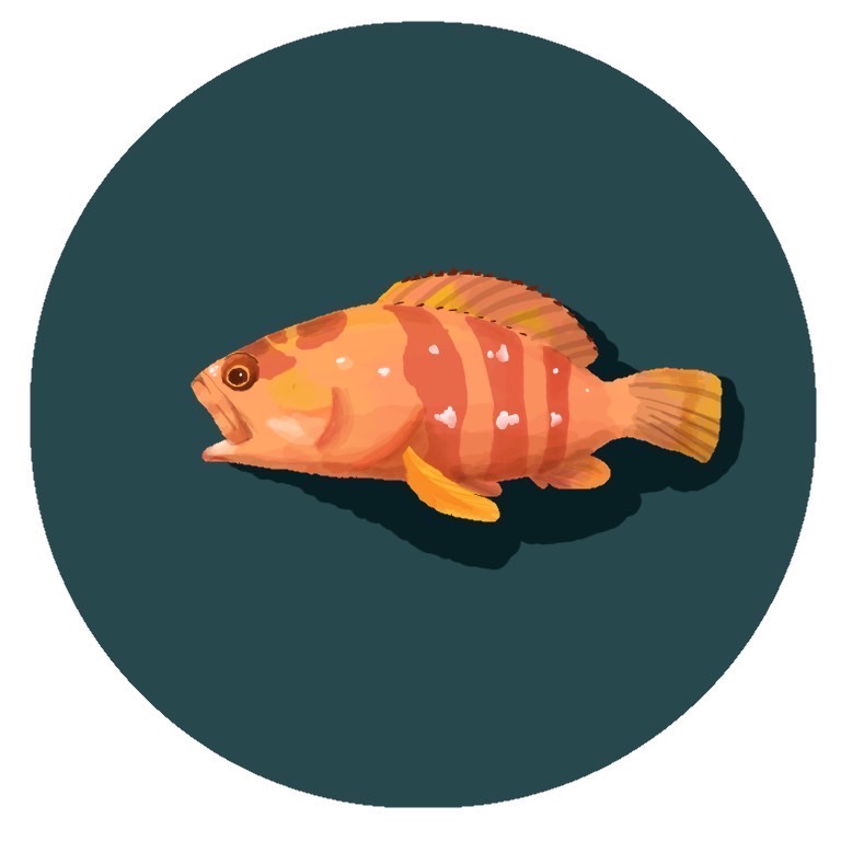 ぜんつり！釣り好き金欠学生